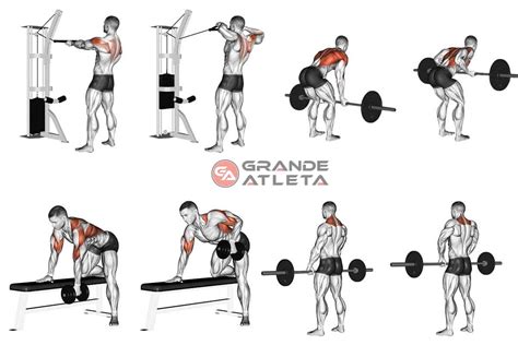  gif|Treino de costas completo: os 10 melhores exercícios para。